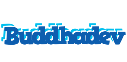 Buddhadev business logo