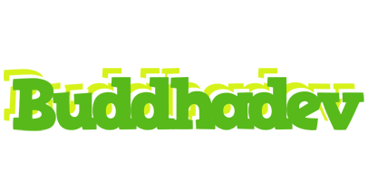Buddhadev picnic logo