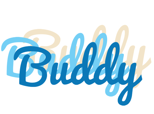 Buddy breeze logo