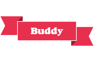 Buddy sale logo