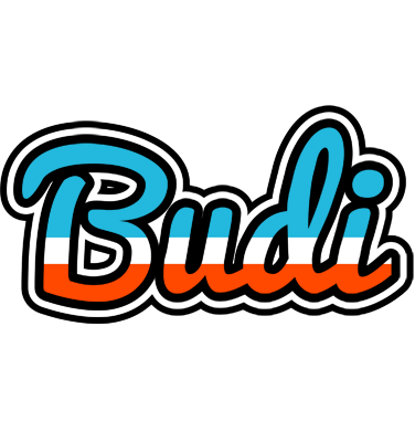 Budi america logo