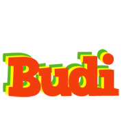 Budi bbq logo