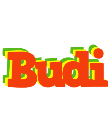 Budi bbq logo