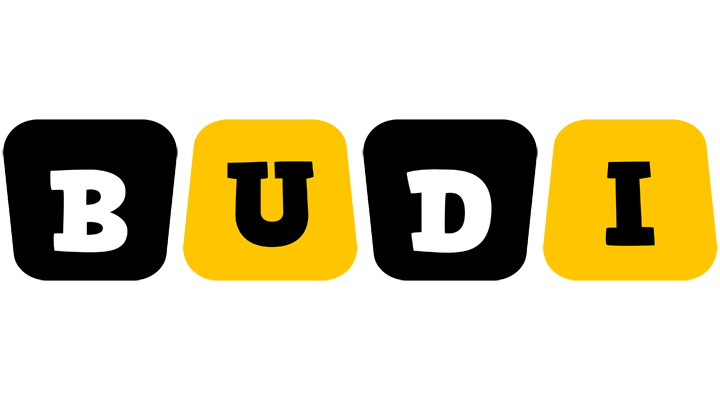 Budi boots logo
