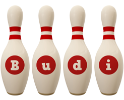 Budi bowling-pin logo
