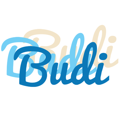 Budi breeze logo