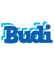 Budi business logo