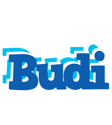 Budi business logo