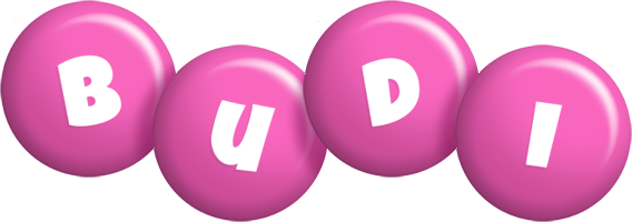 Budi candy-pink logo