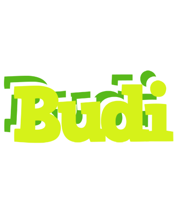 Budi citrus logo