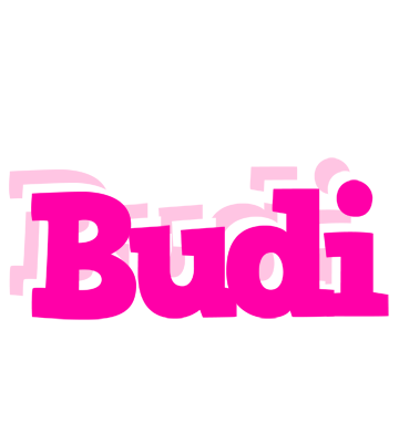 Budi dancing logo