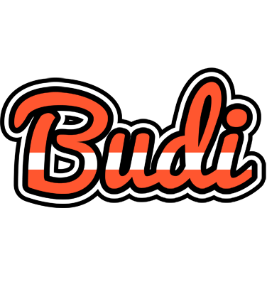 Budi denmark logo