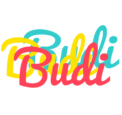 Budi disco logo