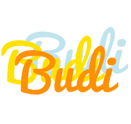 Budi energy logo