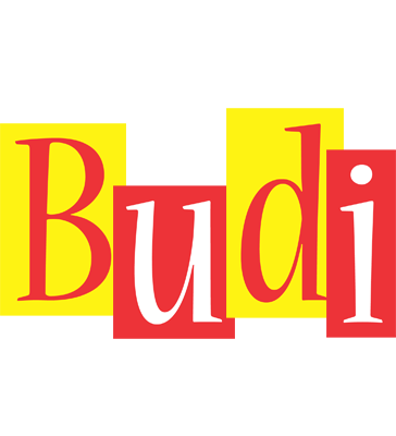 Budi errors logo