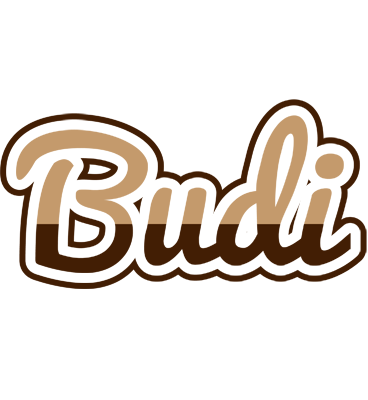 Budi exclusive logo