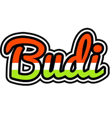 Budi exotic logo