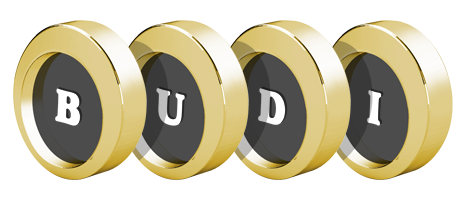Budi gold logo