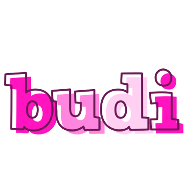 Budi hello logo