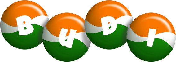 Budi india logo