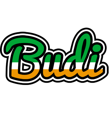 Budi ireland logo