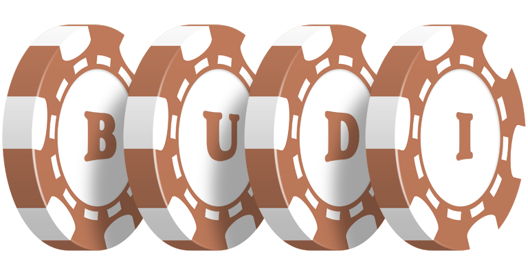 Budi limit logo
