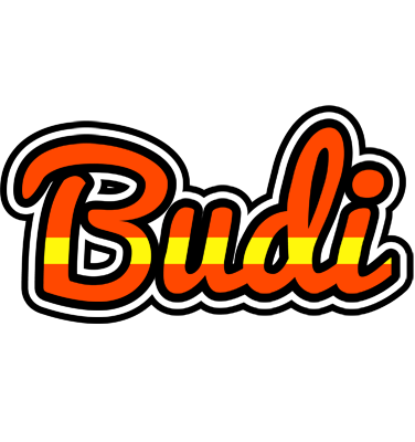 Budi madrid logo