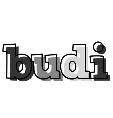 Budi night logo