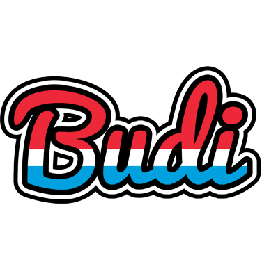 Budi norway logo