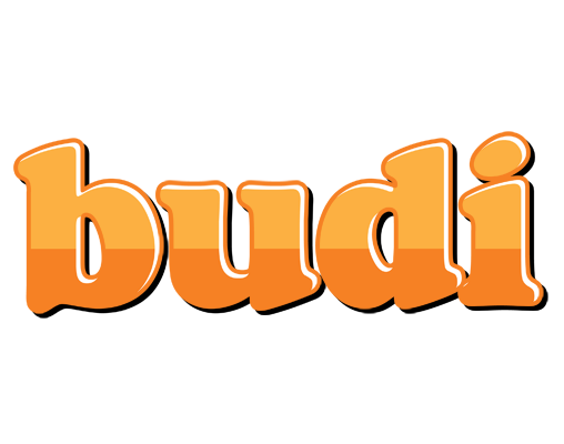 Budi orange logo
