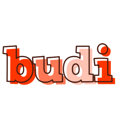 Budi paint logo
