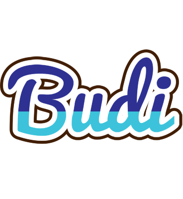 Budi raining logo
