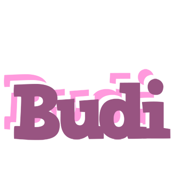 Budi relaxing logo