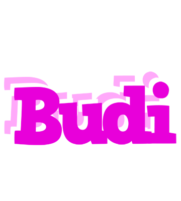 Budi rumba logo