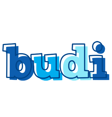 Budi sailor logo