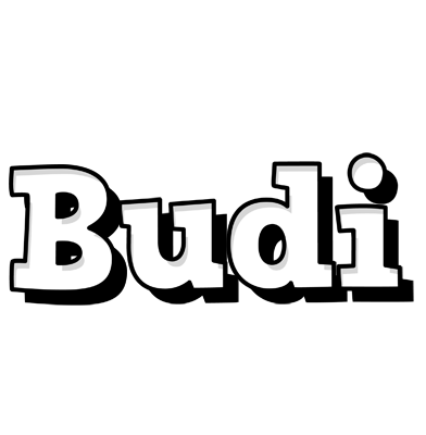 Budi snowing logo