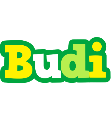 Budi soccer logo