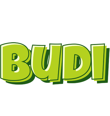 Budi summer logo