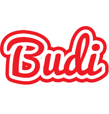 Budi sunshine logo