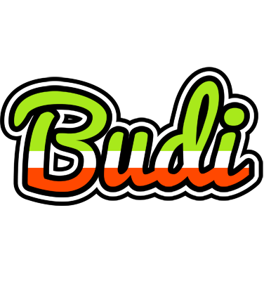 Budi superfun logo