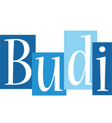 Budi winter logo