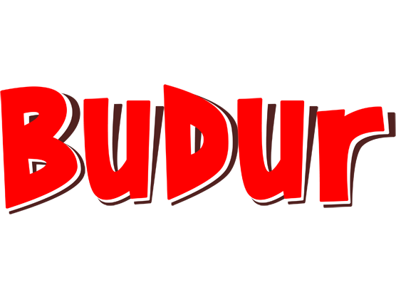 Budur basket logo