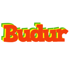 Budur bbq logo