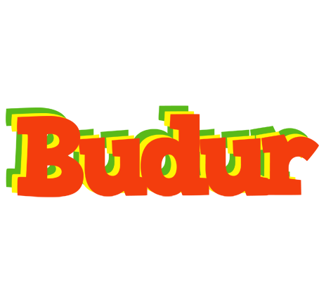 Budur bbq logo