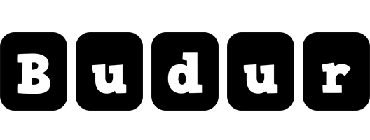Budur box logo