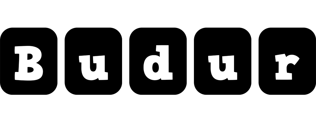 Budur box logo