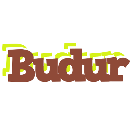 Budur caffeebar logo