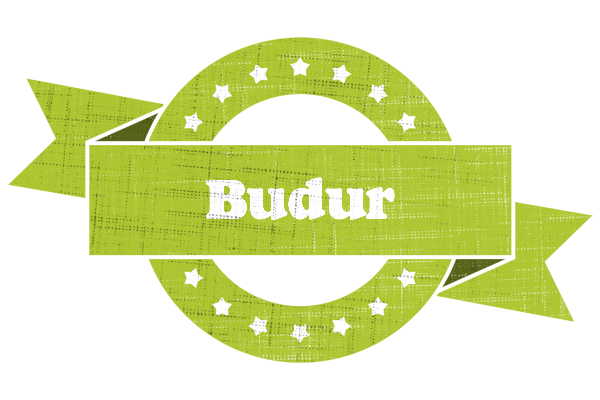 Budur change logo
