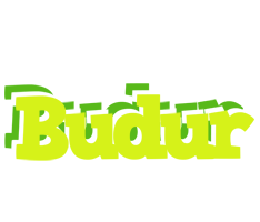 Budur citrus logo