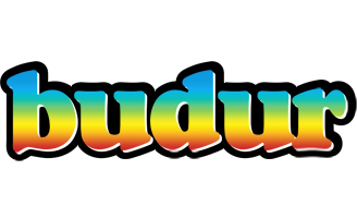 Budur color logo